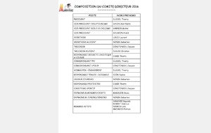 COMITE DIRECTEUR 2016