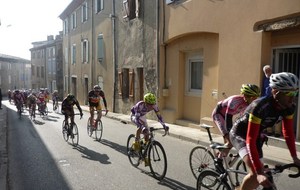 5133bab82c332_P1160692 (Copier).JPG