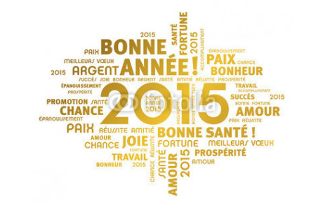 LE CVCM VOUS PRESENTE SES MEILLEURS VOEUX POUR L'ANNEE 2015