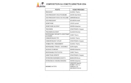 COMITE DIRECTEUR 2016